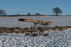 2010-11-n1-2391