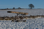 2010-11-n1-2392