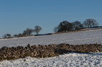2010-11-n1-2393