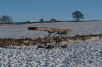 2010-11-n1-2394