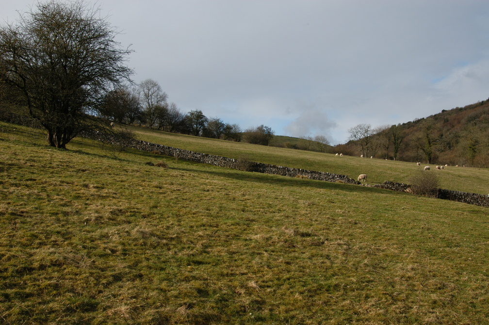2011-02-n1-8077.jpg.jpg