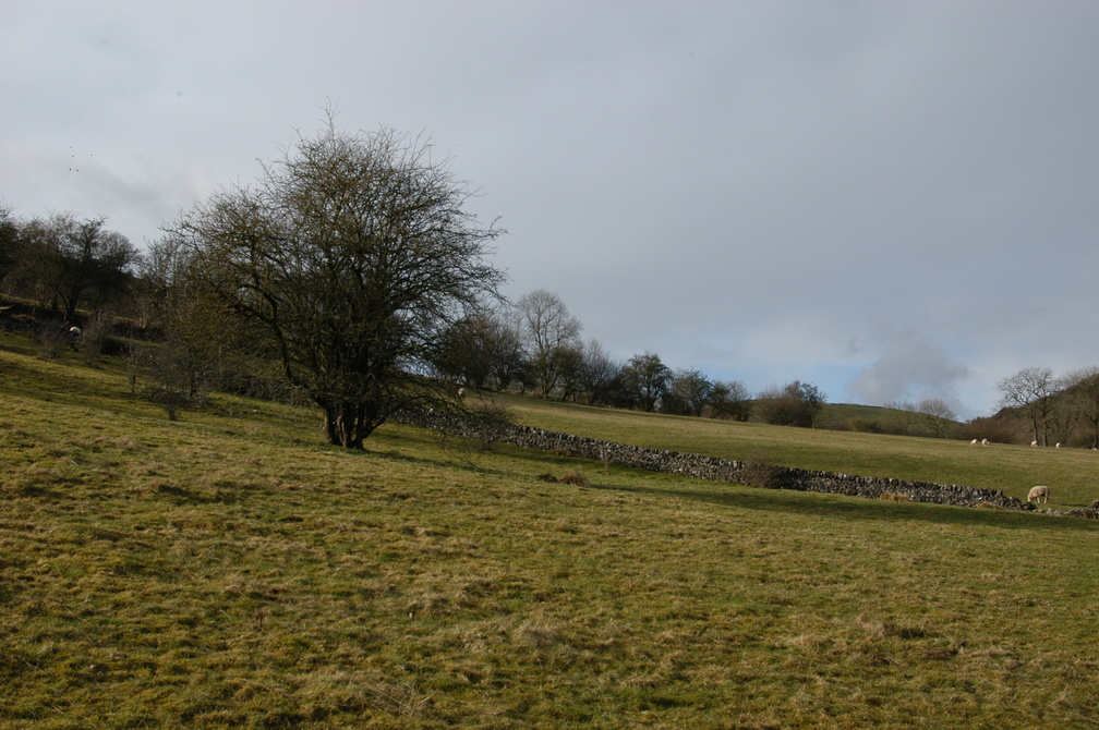 2011-02-n1-8078.jpg.jpg