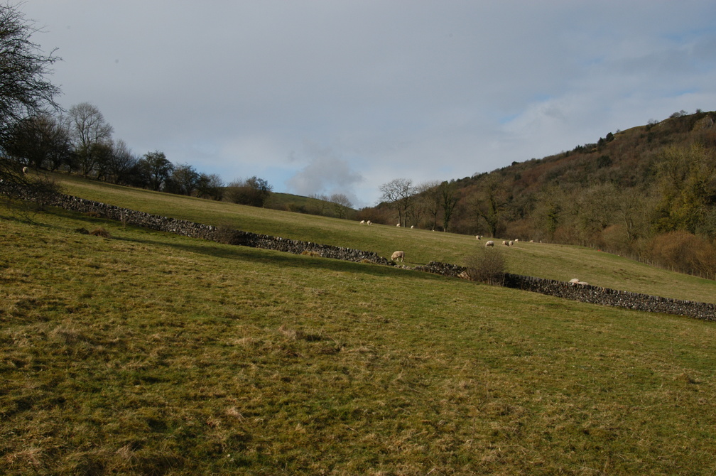 2011-02-n1-8079.jpg.jpg