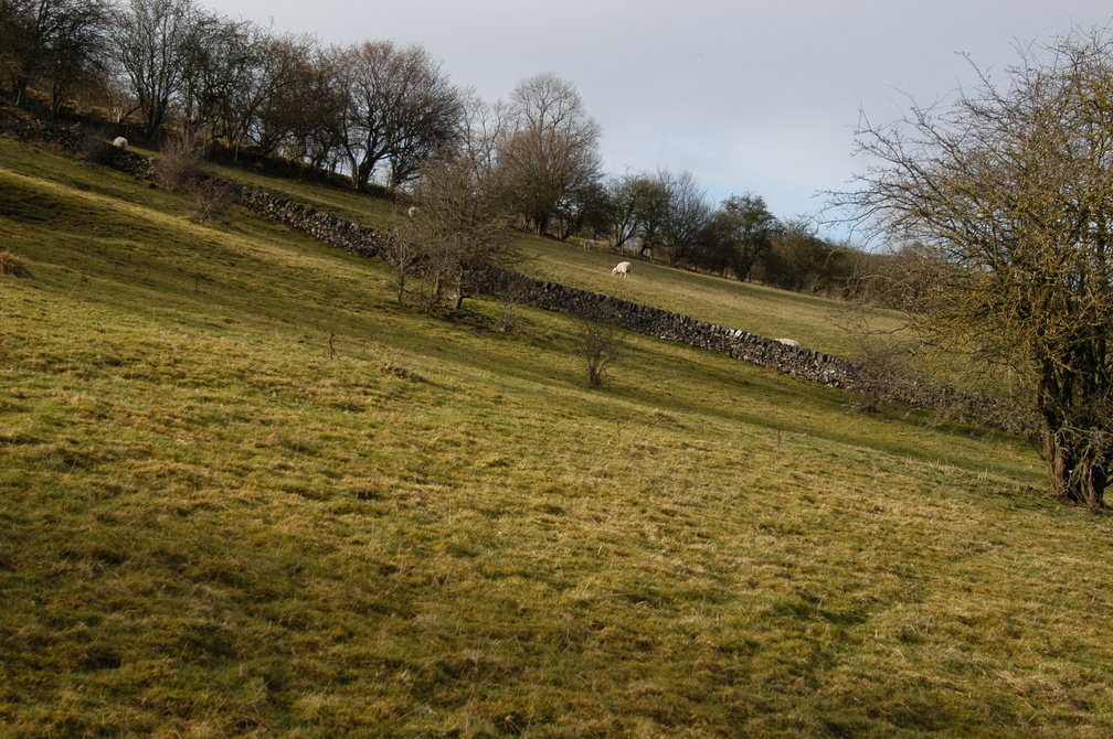 2011-02-n1-8087.jpg.jpg