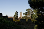 2011-03-n3-0035