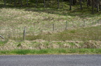 2011-05-n5-1709