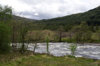 2011-05-n5-1777