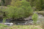 2011-05-n5-1780
