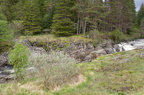2011-05-n5-1781