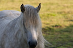2011-07-n5-6287-a
