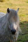 2011-07-n5-6288-a