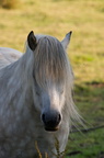 2011-07-n5-6289-a