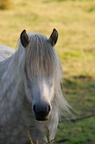 2011-07-n5-6291-a