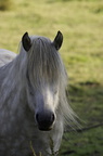 2011-07-n5-6291
