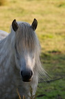2011-07-n5-6293-a