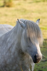 2011-07-n5-6294-a