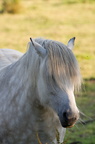 2011-07-n5-6295-a