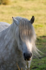 2011-07-n5-6296-a