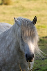 2011-07-n5-6297-a