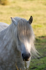 2011-07-n5-6298-a