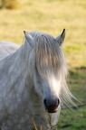 2011-07-n5-6299-a