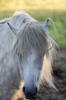 2011-07-n5-6314-a
