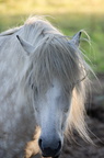 2011-07-n5-6315-a