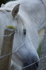 2011-07-n5-6316-a