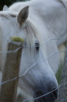 2011-07-n5-6317-a