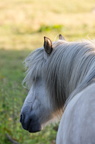 2011-07-n5-6318-a