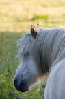 2011-07-n5-6319-a