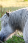 2011-07-n5-6320-a