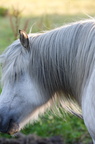 2011-07-n5-6321-a