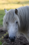 2011-07-n5-6322-a