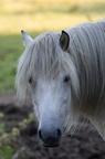 2011-07-n5-6323-a