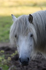 2011-07-n5-6324-a