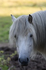 2011-07-n5-6325-a