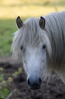 2011-07-n5-6327-a