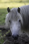 2011-07-n5-6327