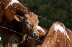 2012-04-n5-7469-a