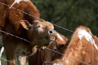 2012-04-n5-7470-a