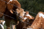 2012-04-n5-7471-a