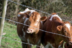 2012-04-n5-7472-a