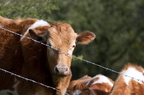 2012-04-n5-7473-a