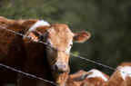 2012-04-n5-7474-a