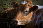 2012-04-n5-7477-a
