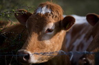 2012-04-n5-7478-a