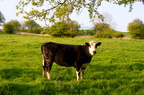 2012-05-n5-7743-a