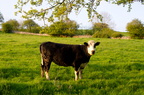 2012-05-n5-7744-a
