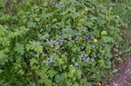 2012-05-n5-7745-a